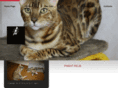 pasht-felis.com