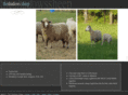 theshadowssheep.com