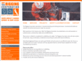 rigginggroup.com