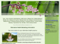 alternativehealthbusiness.com