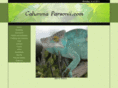 calummaparsonii.com