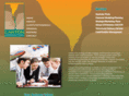 canyonconsulting.net