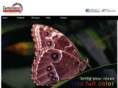 centerpiecegraphics.com