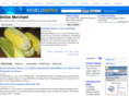 belizemerchant.com