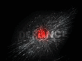defiance-punks.com