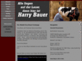 harrybauer.com