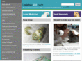 lafebervet.com