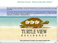 turtleview.com