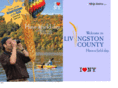visitlivingstonny.com