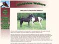 woodviewwalkers.com