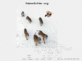 0xbeefc0de.org