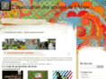 associationdesartistesaisne.com