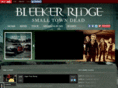 bleekerridge.com