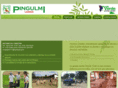 hosteriapingulmilodge.com