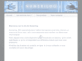 numerilog.com