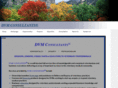 dvmconsultants.com