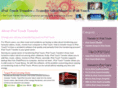 ipodtouchtransfer.net