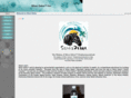 thesilverzebra.com