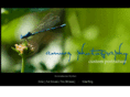 amwzphotography.com