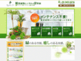 rental-plants.com