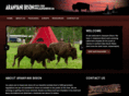 aranyanibison.com