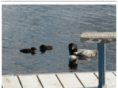 sagelake.org
