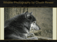crineerphotos.com