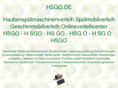 hsgo.de