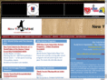 newyorkfutsal.com