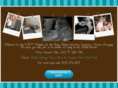 babylangley.com