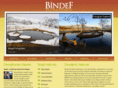 bindef.com