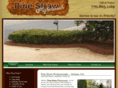pinestrawprofessionals.com