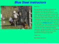 bluesteelinstructors.com