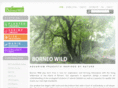 borneowild.com