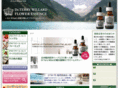 dtwjapan.com