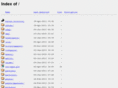 e-looking.net