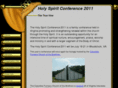 holyspiritcelebration.com