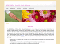 momsclubchs.com