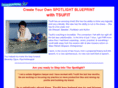 spotlightblueprint.com