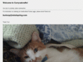 currycatcrafts.com