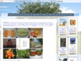 esseneway.com
