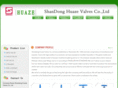 sdhuaze.com