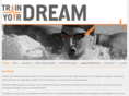 trainyourdream.com