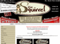 squirrelnow.com