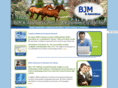 bjmstaffing.com