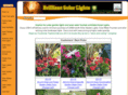 brilliantsolarlights.com