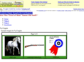 custompapertargets.com