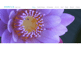 marcusfreitas.com