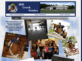 millcreekponies.com