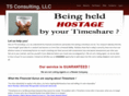 ts-consultants.com